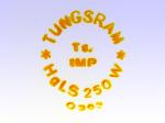 TUNGSRAM HgLS 250W O363